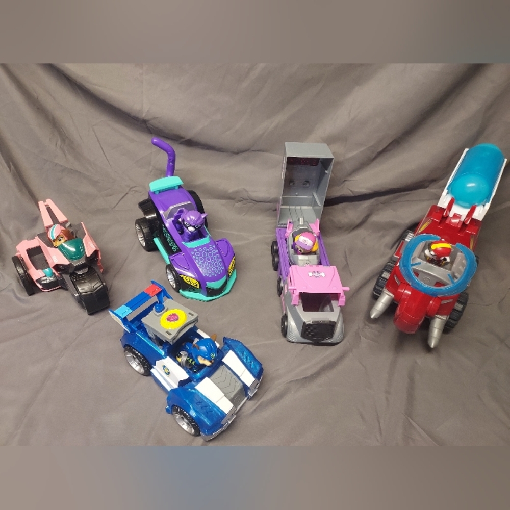Paw Patrol Lot